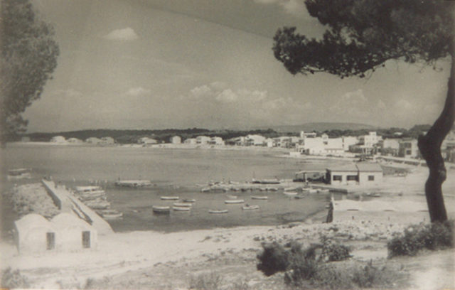 LLU-32-0149